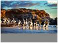 Explore The Natural Beauty Of Swan Valley Tour With WA Tours PowerPoint PPT Presentation