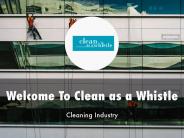 Detail Presentation About Clean as a Whistle