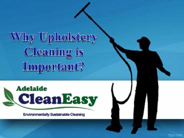 Why Upholstery Cleaning is Important?