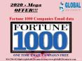 Fortune 1000 Companies Email data PowerPoint PPT Presentation