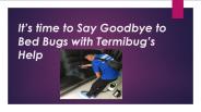 Bed Bug Pest Control Singapore