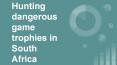 Hunting dangerous game trophies in South Africa PowerPoint PPT Presentation