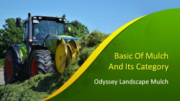 Basic of Mulch And Its Category
