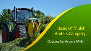 Basic of Mulch And Its Category