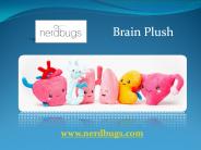 Brain Plush - nerdbugs.com