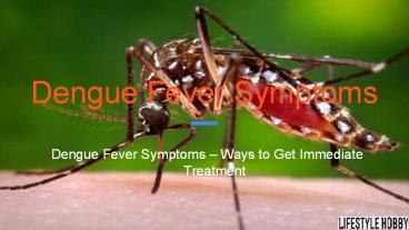 Dengue fever symptoms
