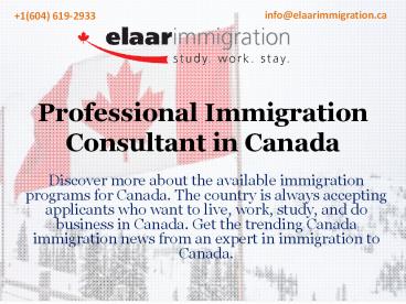 Professional Immigration Consultant in Canada