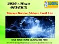 Telecom Decision Makers Email List PowerPoint PPT Presentation