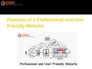 Features of a Professional and User Friendly Website