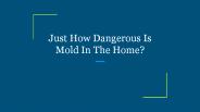 Just How Dangerous Is Mold In The Home?