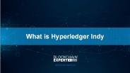 what is Hyperledger Indy
