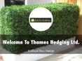 Information Presentation Of Thames Hedging Ltd. PowerPoint PPT Presentation