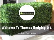 Information Presentation Of Thames Hedging Ltd.