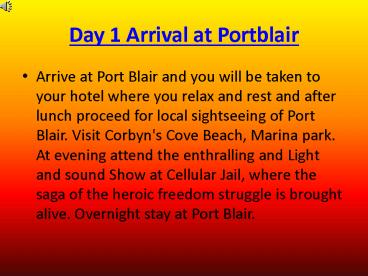 Book Magical Andaman Winter Special tour packages- christmastreehospitality