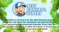 Reliable Pest Management in Portland - Pest Control Expert PowerPoint PPT Presentation