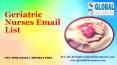 Geriatric Nurses Email List PowerPoint PPT Presentation