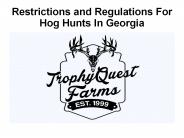 Hog Hunts In Georgia