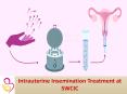 Iui intrauterine insemination.SWCIC is Leading IVF Center in hyderabad PowerPoint PPT Presentation