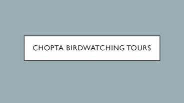Chopta Birdwatching Tours