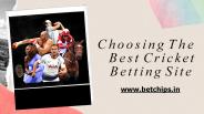 Choosing The Best Cricket Betting Site