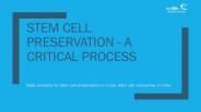 Stem Cell Preservation - A Critical Process