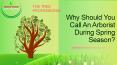 Why Should You Call An Arborist During Spring Season? PowerPoint PPT Presentation