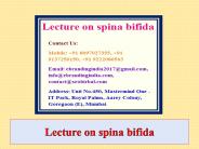 Lecture on spina bifida
