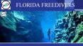 FreeDiving - Florida Freedivers PowerPoint PPT Presentation