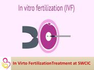 In vitro fertilization process.Affordable Fertility & IVF Treatment