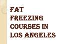 Fat Freezing Courses in Los Angeles PowerPoint PPT Presentation