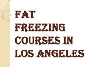 Fat Freezing Courses in Los Angeles