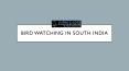 south india bird watching Tours PowerPoint PPT Presentation