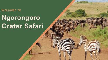5 Days Tour to Ngorongoro Crater Safari