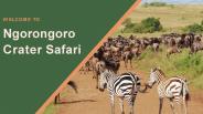 5 Days Tour to Ngorongoro Crater Safari