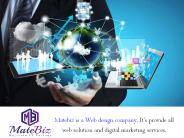 You Can Achieve Hi-Quality Website Development Service In India