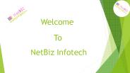Best Software Development - Netbiz Infotech