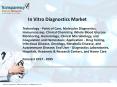 In Vitro Diagnostics Market Demand, Scope and Global Competitive Insights 2025 PowerPoint PPT Presentation