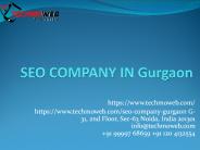 SEO Company in Gurgaon TechmoWeb