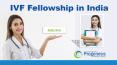 IVF Fellowship in India (1) PowerPoint PPT Presentation