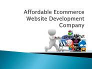 Affordable Ecommerce Website Development Company