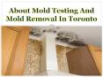 About Mold Testing And Mold Removal In Toronto PowerPoint PPT Presentation