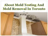 About Mold Testing And Mold Removal In Toronto