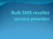 Bulk SMS API Provider