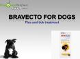 Bravecto for Dogs | Online Bravecto Flea & Tick | Flea Tablets for Dogs |Bravecto at best price in Australia