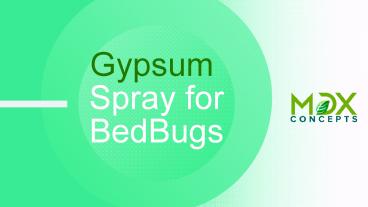 MDX Concepts Gypsum Spray for Bed  Bugs