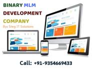 Matrix MLM Plan Demo | mlm-binary-software.in