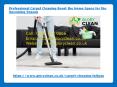 Professional Carpet Cleaning Boost the Home Space PowerPoint PPT Presentation