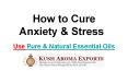How to cure Stress and Anxiety By Essential Oils PowerPoint PPT Presentation