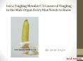 Got a Tingling Member? 5 Causes of Tingling in the Male Organ Every Man Needs to Know PowerPoint PPT Presentation