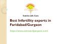 Best Infertility experts in Faridabad/Gurgaon PowerPoint PPT Presentation